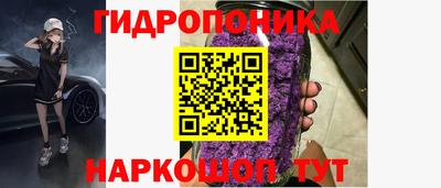 ешки Донецк