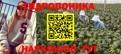 ешки Донецк