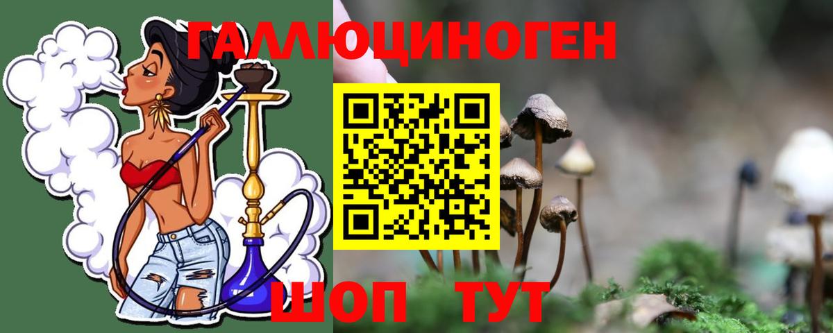 Галлюциногенные грибы Psilocybine cubensis Луховицы
