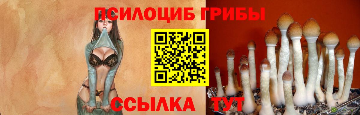 Галлюциногенные грибы Magic Shrooms  Вход с VPN  Луховицы 